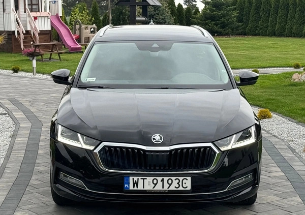 Skoda Octavia cena 105900 przebieg: 52700, rok produkcji 2021 z Bodzentyn małe 562